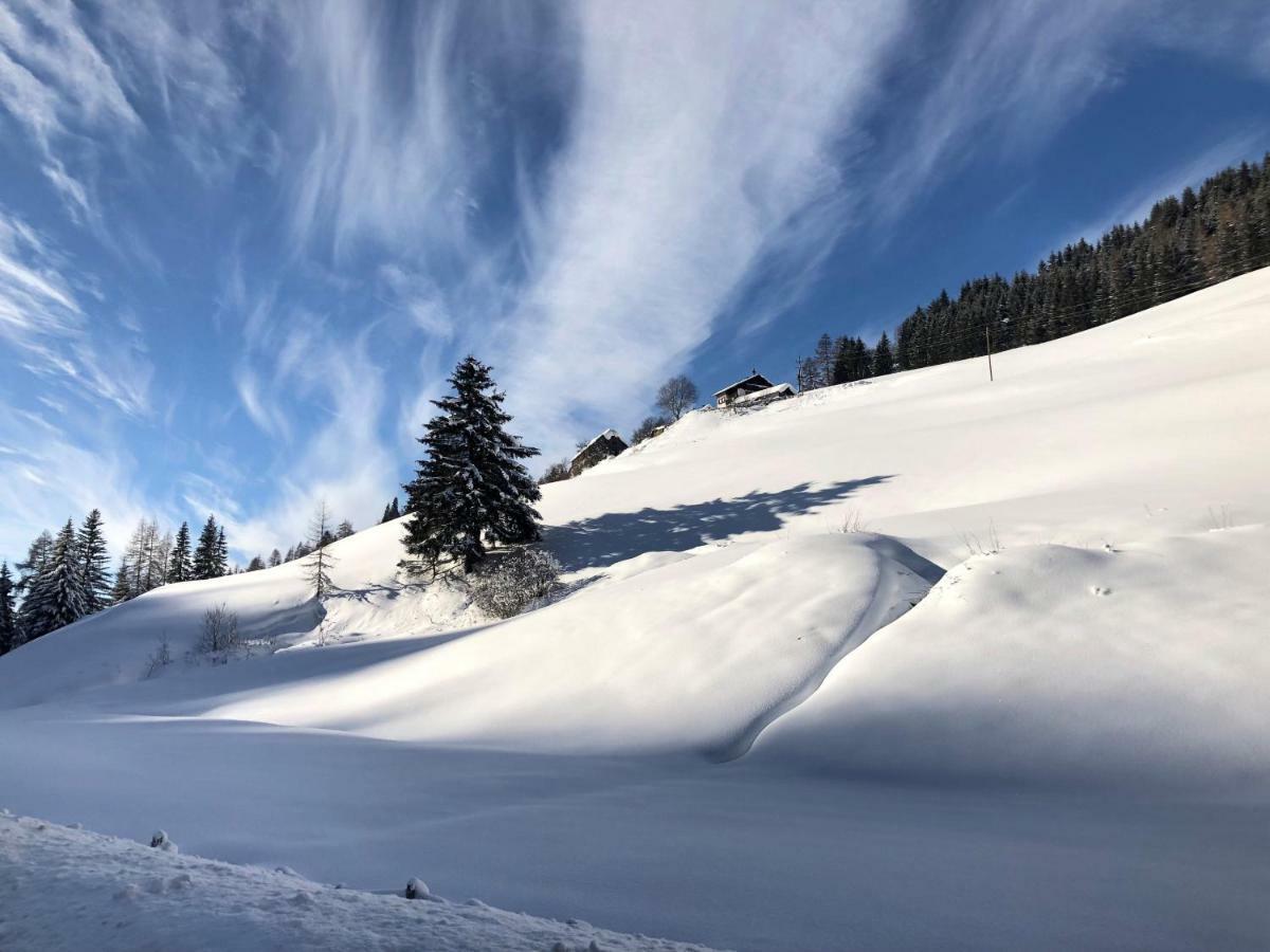 ホテル Feielhof Krakaudorf エクステリア 写真