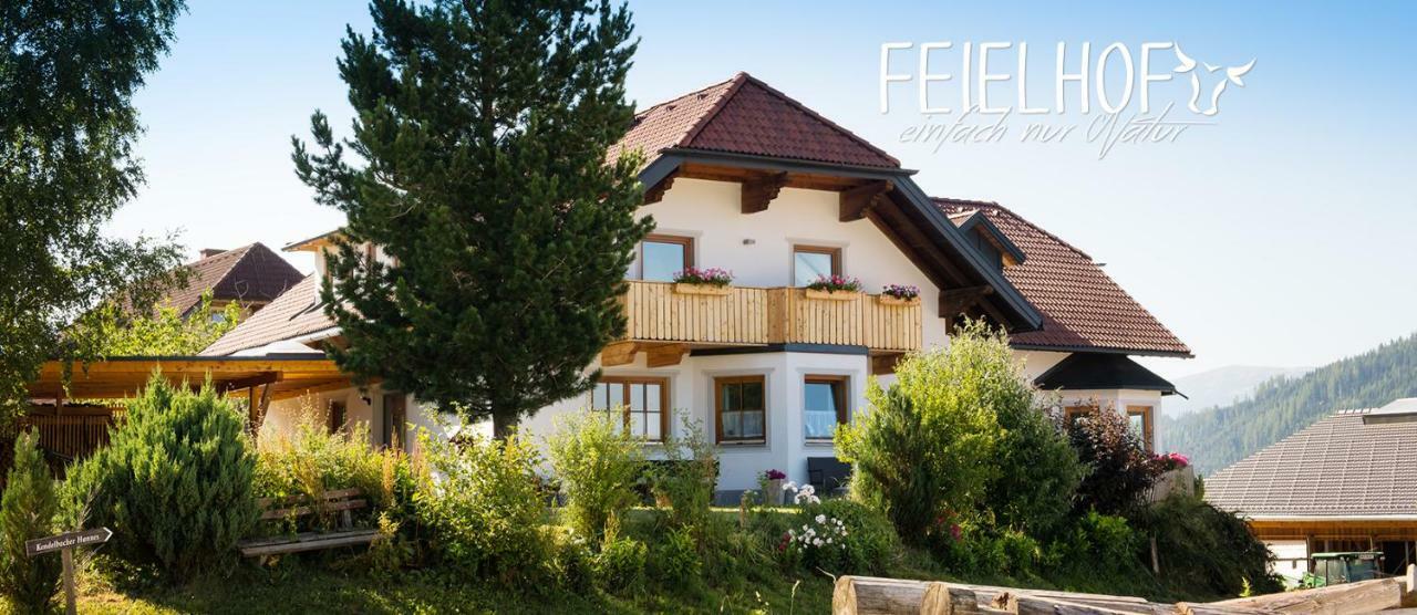 ホテル Feielhof Krakaudorf エクステリア 写真