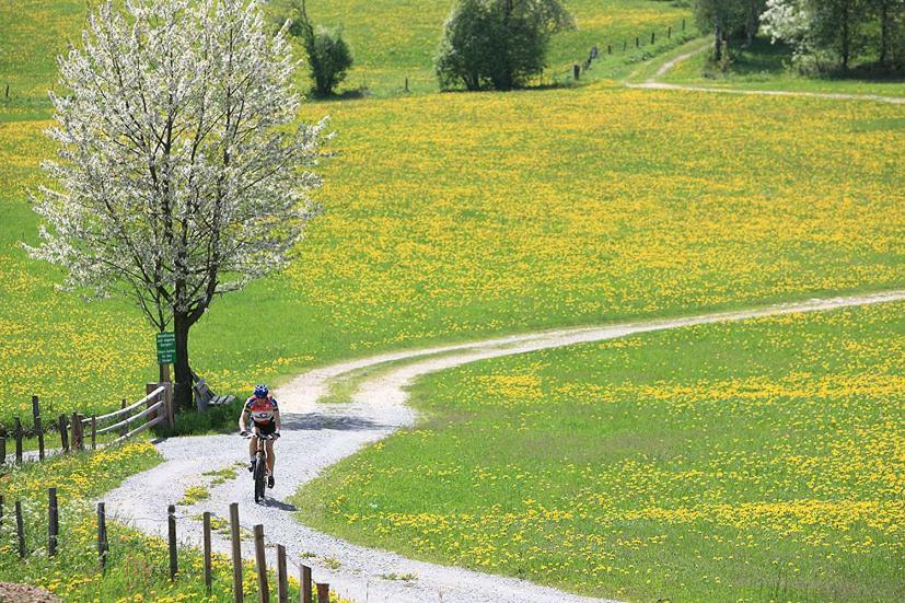 ホテル Feielhof Krakaudorf 部屋 写真