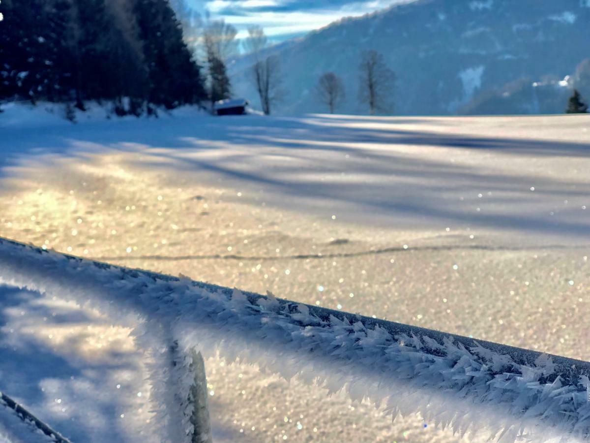 ホテル Feielhof Krakaudorf エクステリア 写真